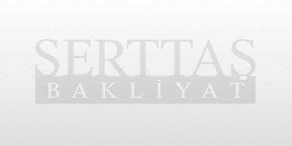 Ballykaya Camii